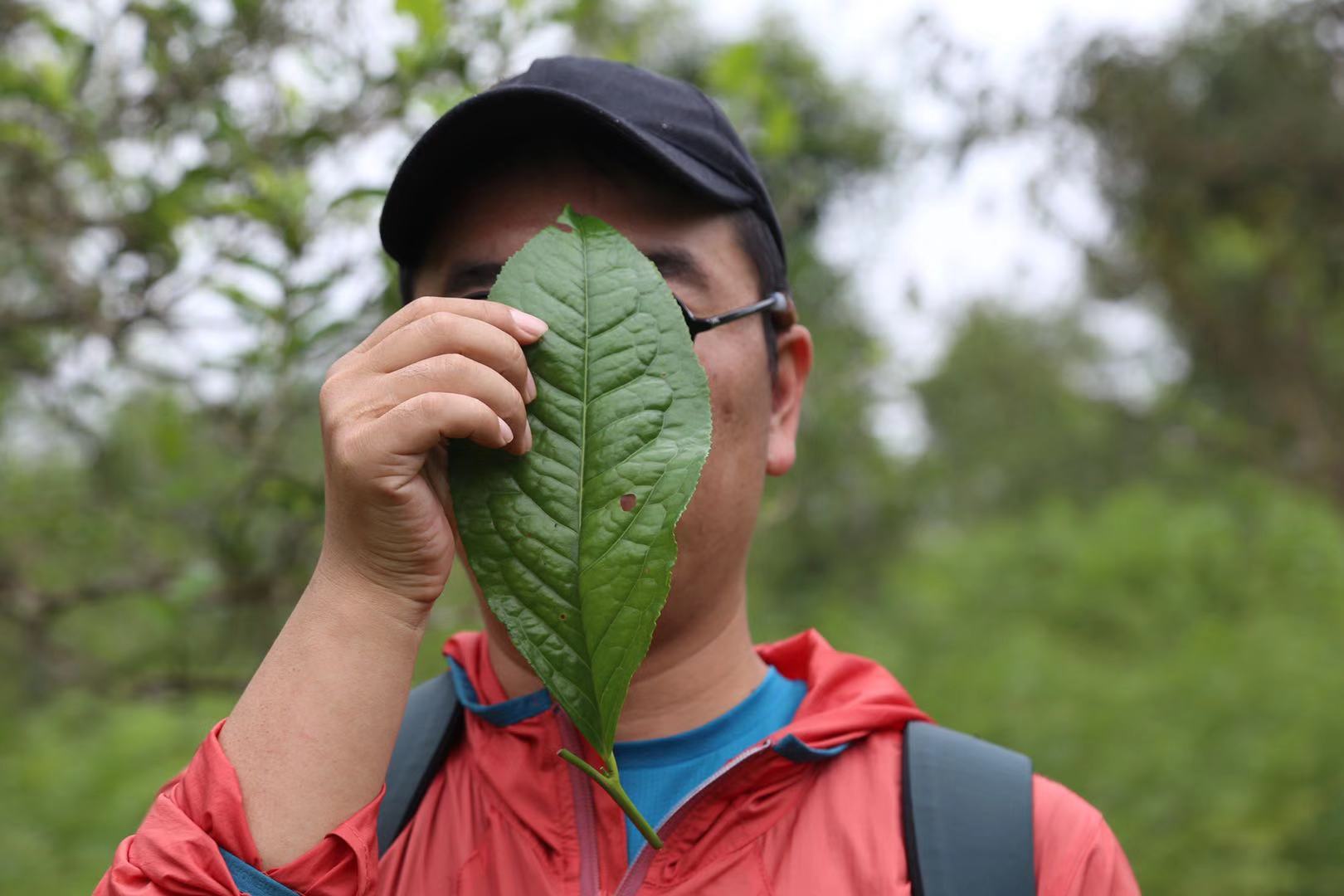 周重林：一个恋茶人的“造物记”