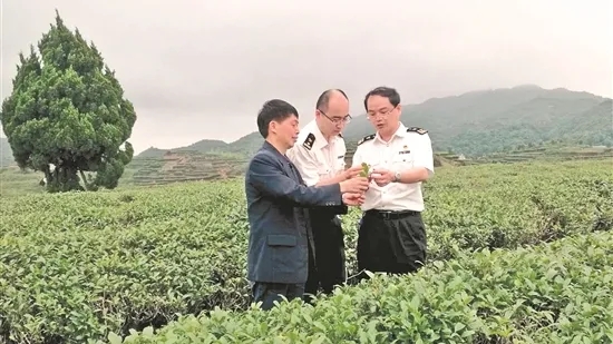 101期|泉州关区首次出口调味乌龙茶 喜茶捐赠扶贫