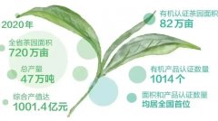 【136期】云南省茶产业迈上千亿元台阶；首届中国白茶大会举行